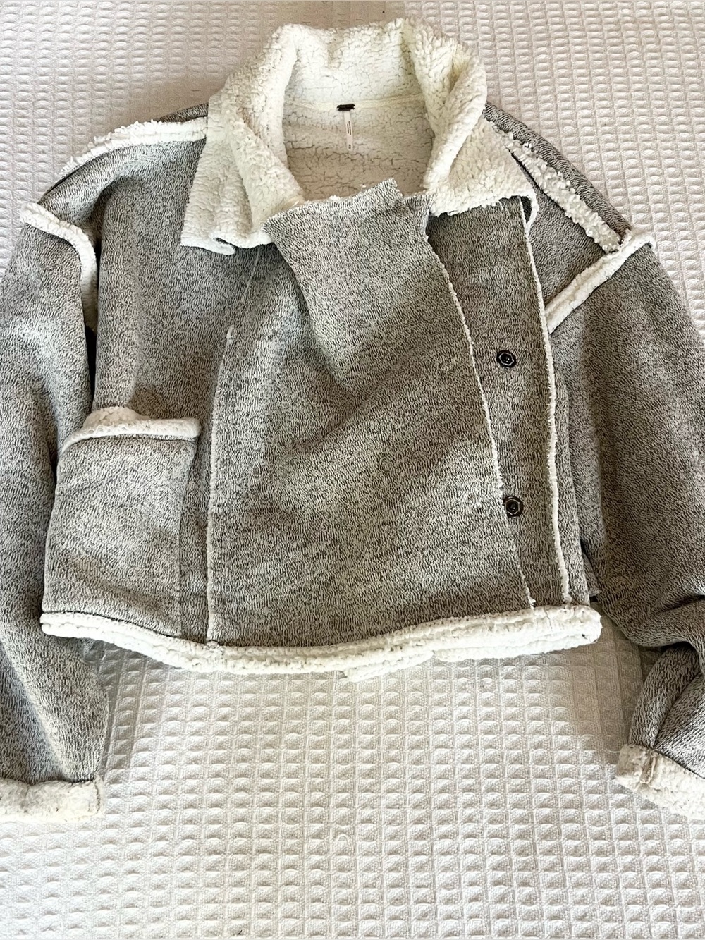 Free People Gray Cropped Teddy Sherpa Jacket